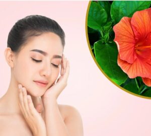 Hibiscus flower is benefits for skin