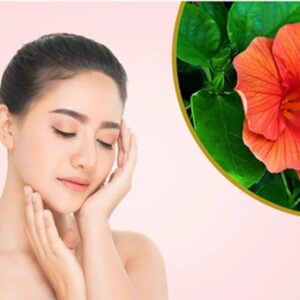 Hibiscus flower is benefits for skin