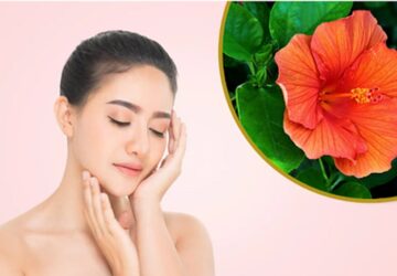 Hibiscus flower is benefits for skin