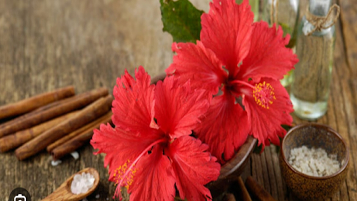 Hibiscus Flower Benefits for Hair and Skin